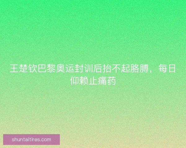 王楚钦巴黎奥运封训后抬不起胳膊，每日仰赖止痛药