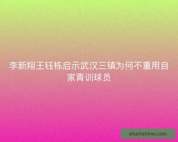 李新翔王钰栋启示武汉三镇为何不重用自家青训球员
